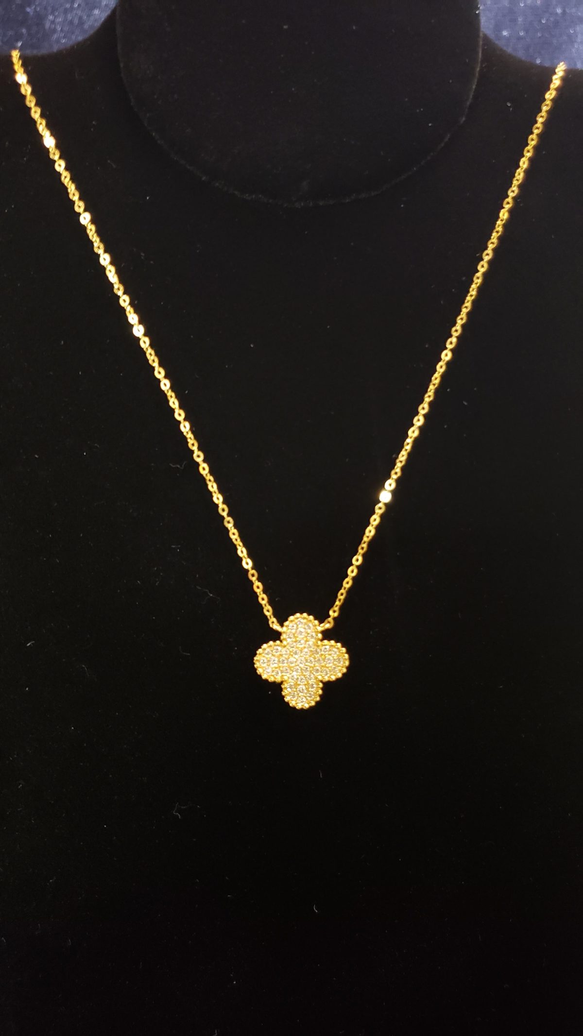 Leena's-Gold-Necklace